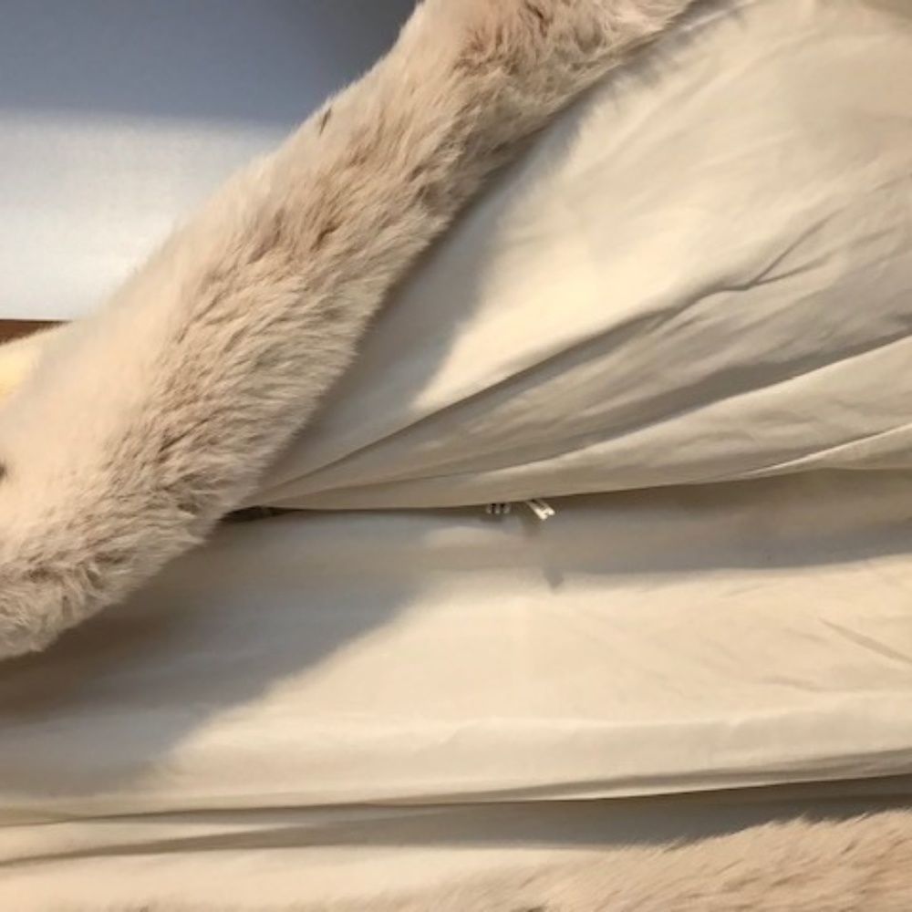 White full-length mink coat with fox fur collar
